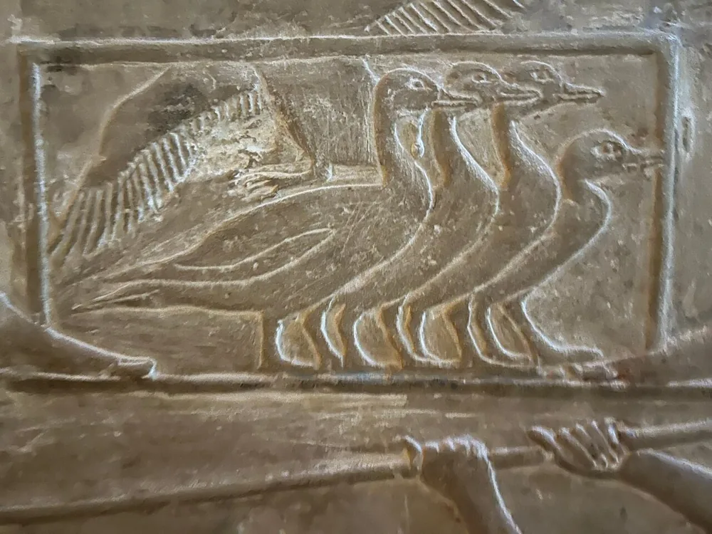 A carved relief of a row of geese inside a tomb at Saqqara